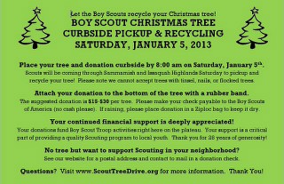 Boy Scout Tree Pickup Recycling